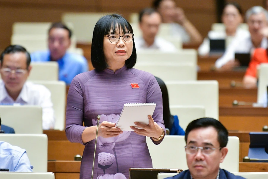 Thiếu các quy định về bảo vệ nhà giáo trong hoạt động nghề nghiệp