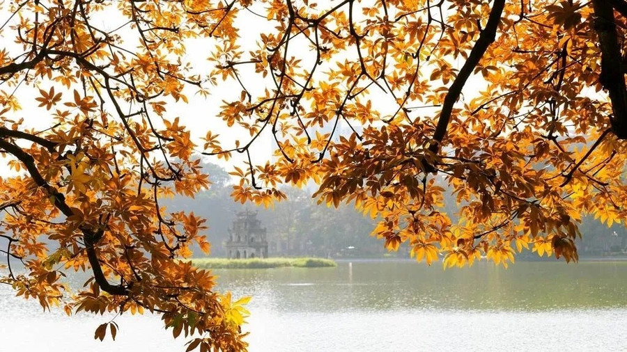 Hà Nội lọt top điểm ngắm lá mùa thu đẹp nhất châu Á